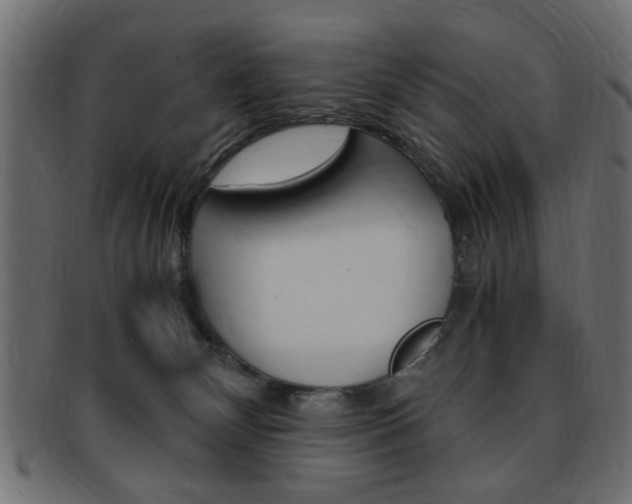 X0000094080132200710190926