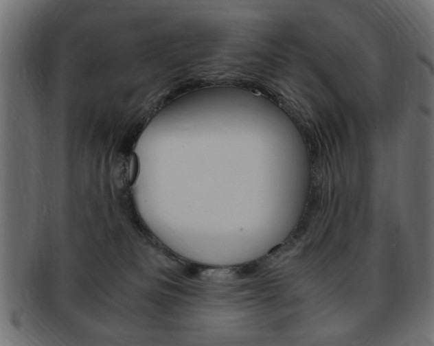 X0000094080133200710190926