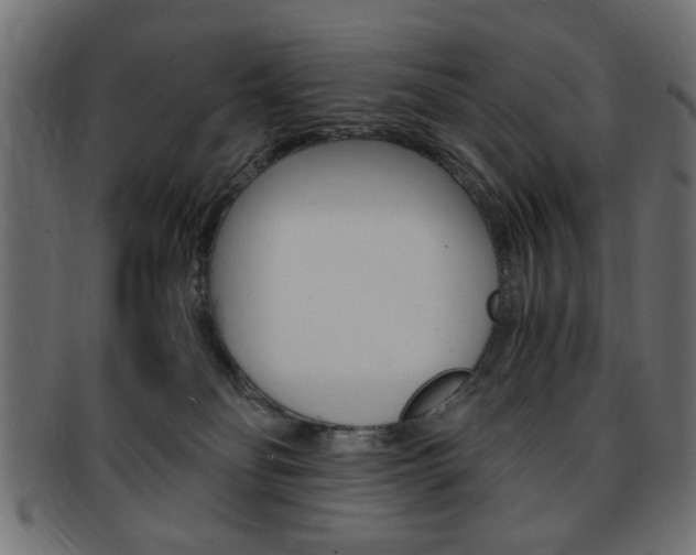 X0000094080134200710190926