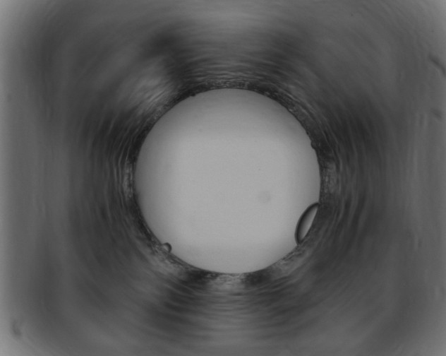 X0000094080138200710190926