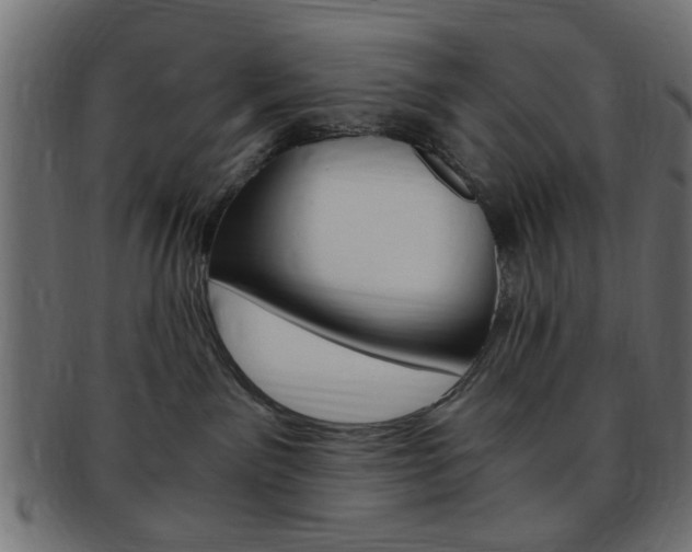 X0000094080141200710190926