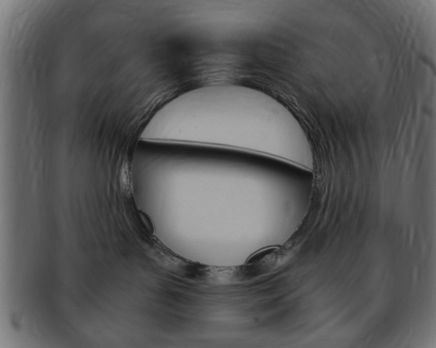 X0000094080143200710190926