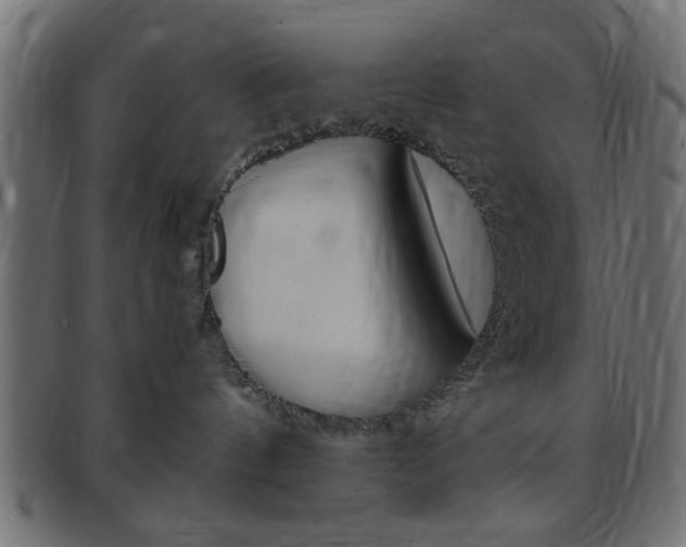 X0000094080144200710190926