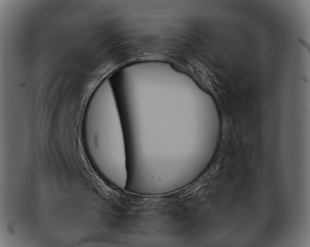 X0000094080145200710190925