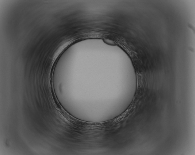 X0000094080147200710190925