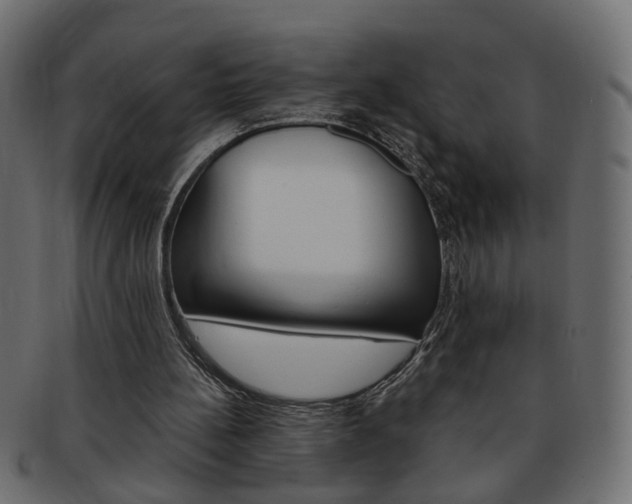 X0000094080148200710190925