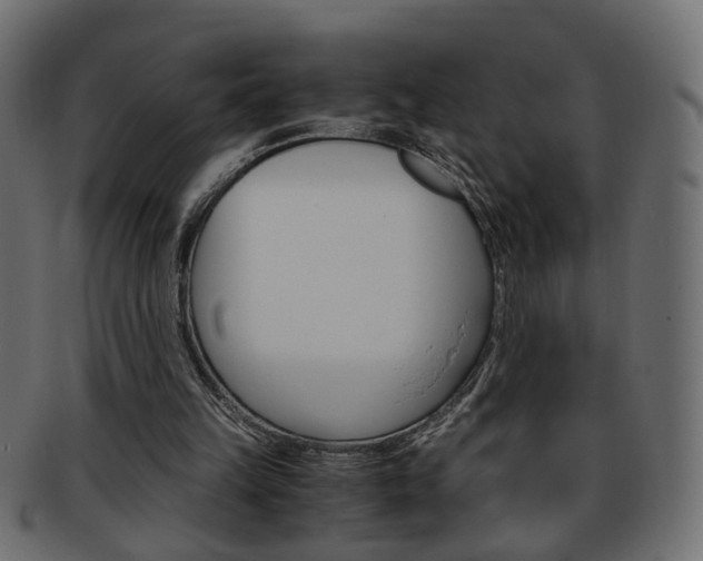 X0000094080149200710190925