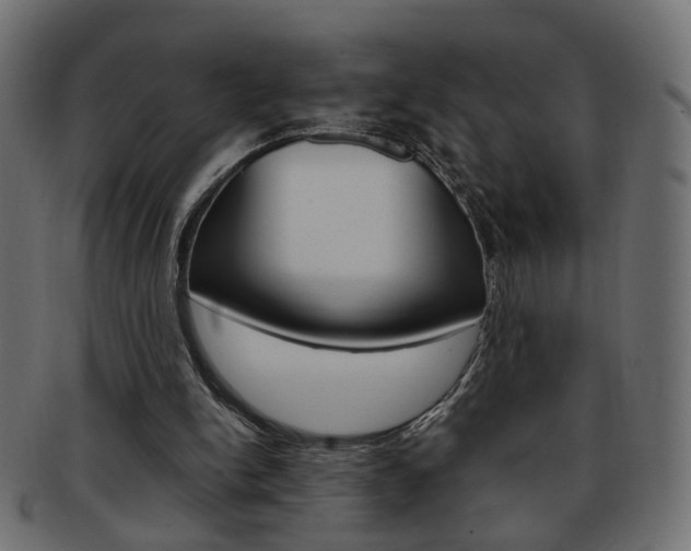 X0000094080150200710190925