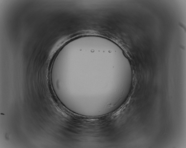 X0000094080151200710190925