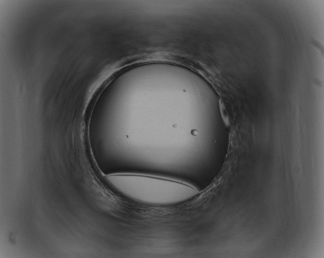 X0000094080152200710190925