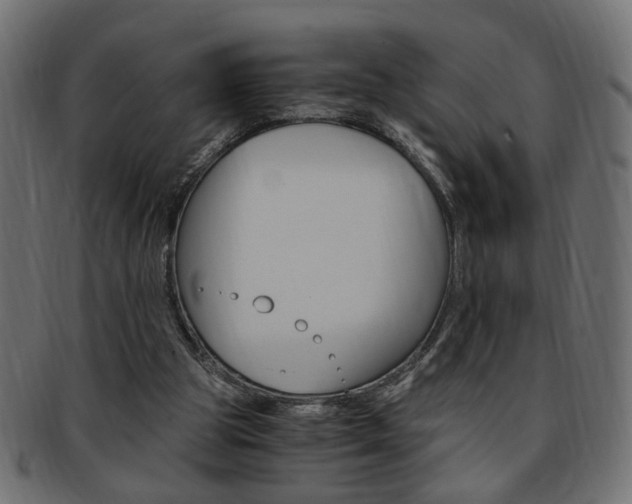 X0000094080153200710190925