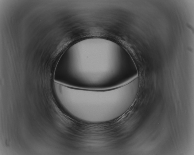 X0000094080154200710190925