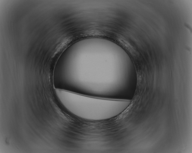 X0000094080158200710190925