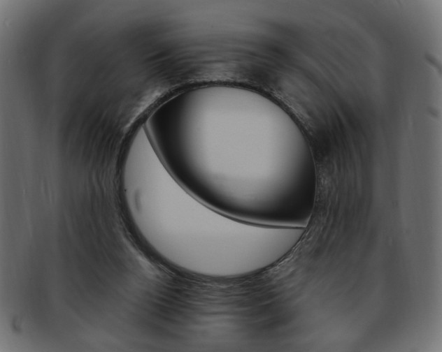 X0000094080160200710190926