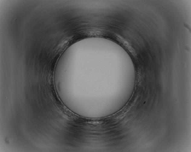 X0000094080161200710190926