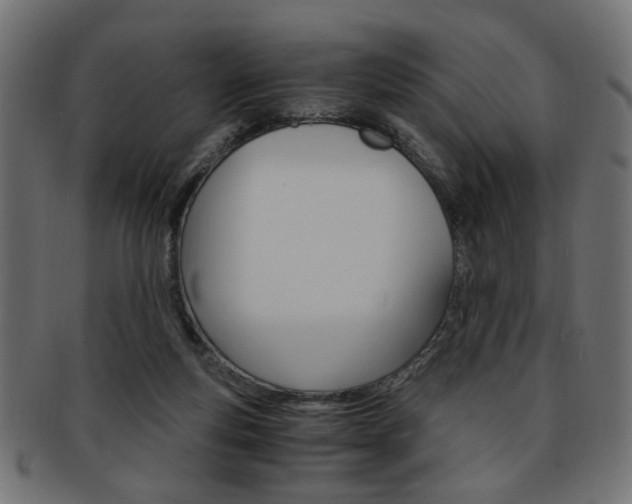 X0000094080163200710190926