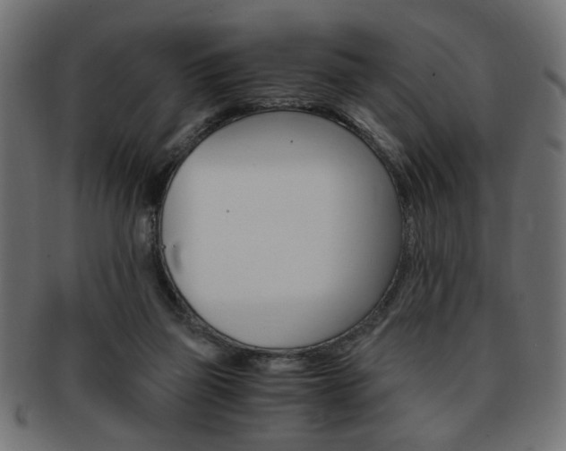 X0000094080165200710190926