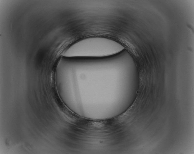 X0000094080166200710190926