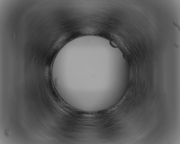 X0000094080167200710190926