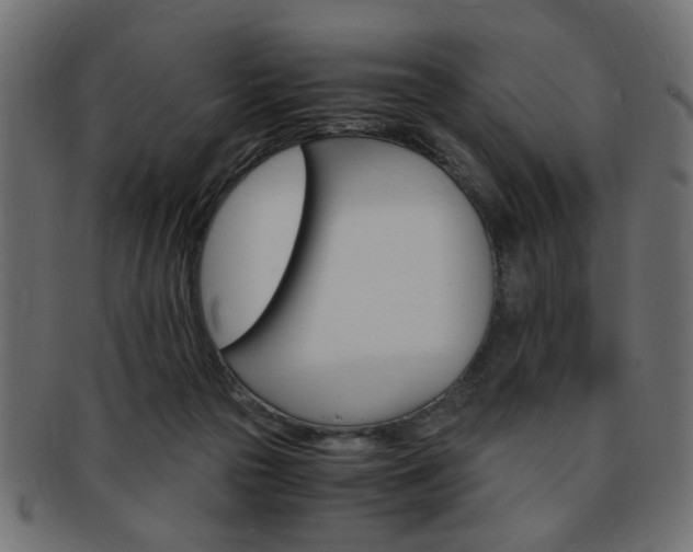 X0000094080169200710190926