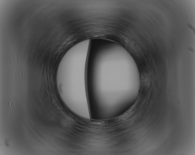 X0000094080170200710190926