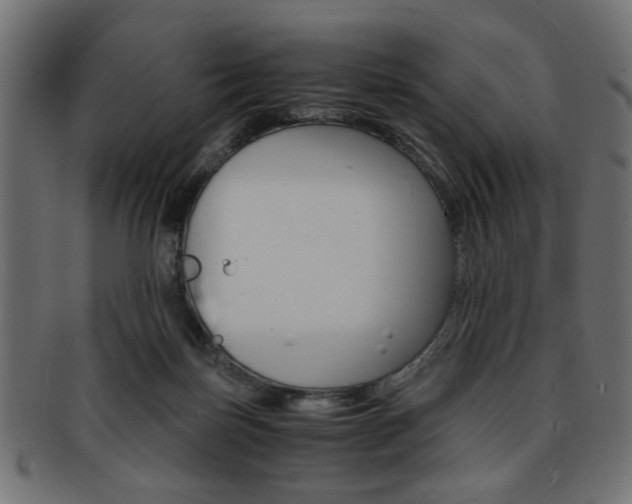 X0000094080171200710190926