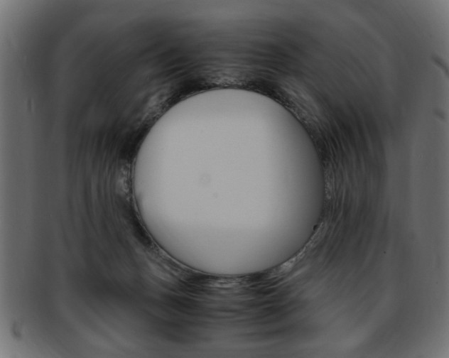 X0000094080175200710190926