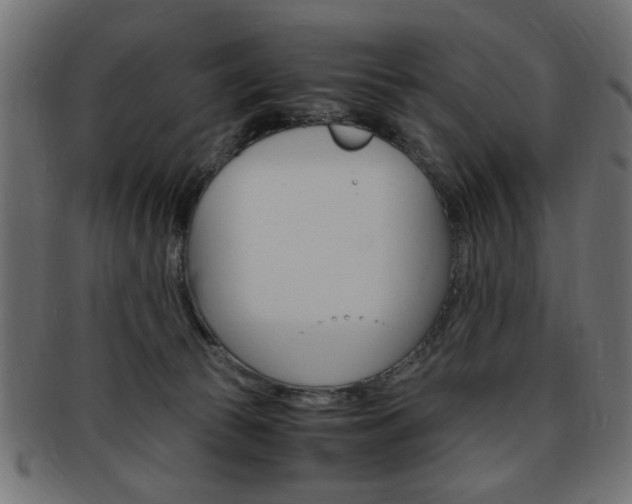 X0000094080177200710190926