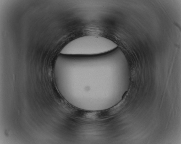 X0000094080178200710190926