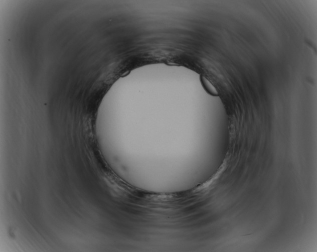 X0000094080182200710190926