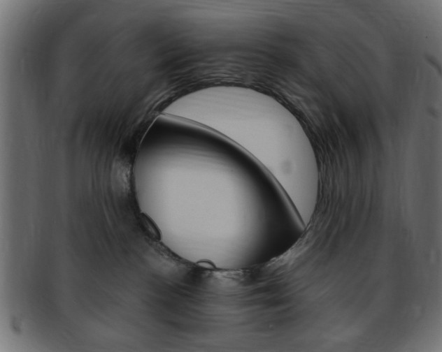 X0000094080188200710190926