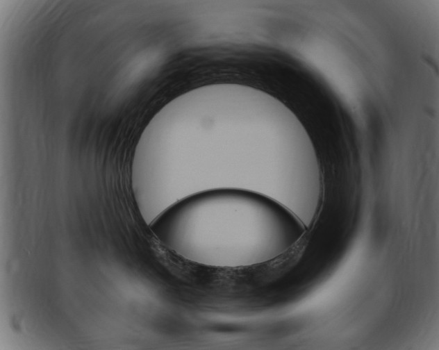 X0000094080190200710190926