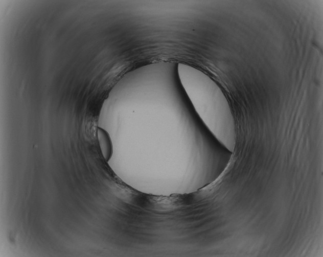 X0000094080191200710190926