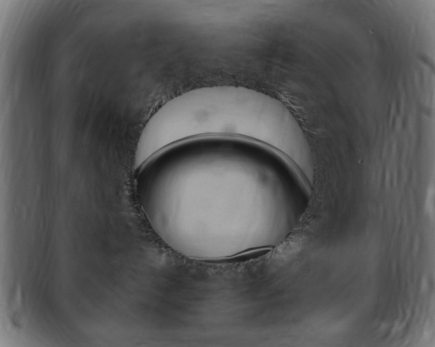 X0000094080192200710190926