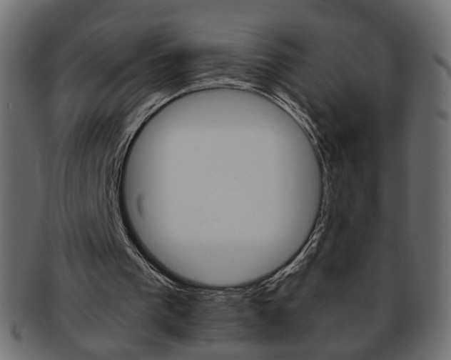 X0000094080193200710190925