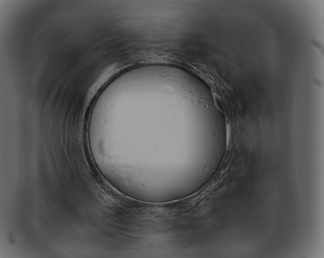 X0000094080195200710190925