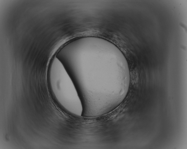 X0000094080196200710190925