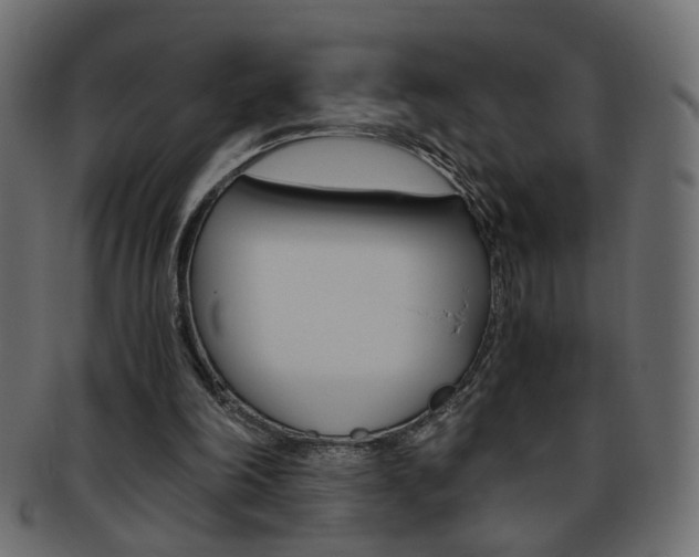 X0000094080198200710190925