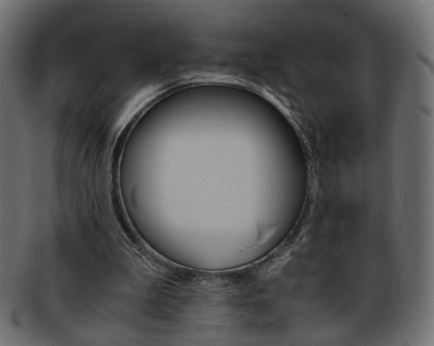 X0000094080199200710190925