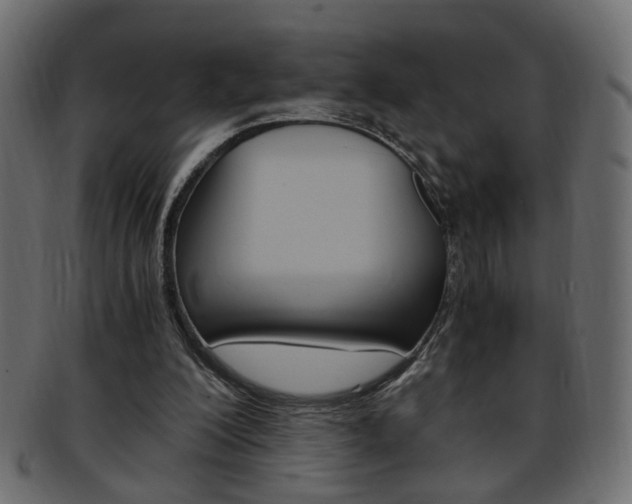 X0000094080200200710190925