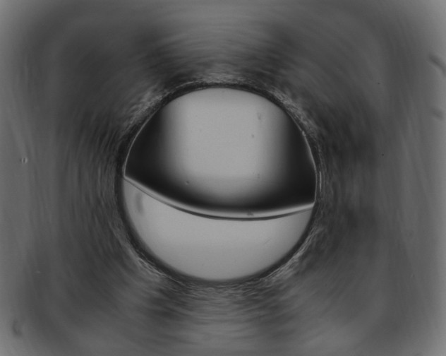 X0000094080201200710190925