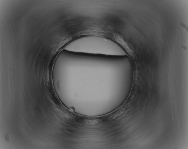 X0000094080202200710190925