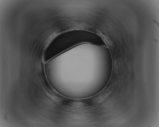 X0000094080203200710190925