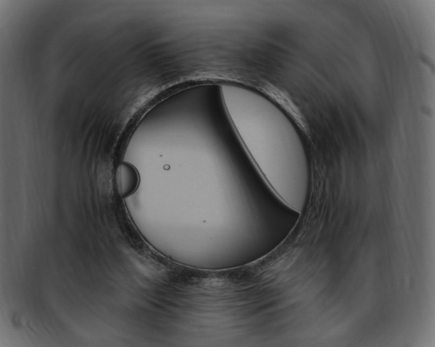 X0000094080204200710190925