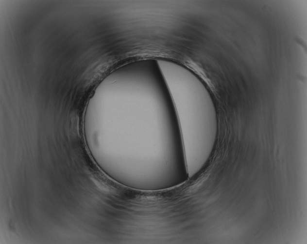 X0000094080205200710190925