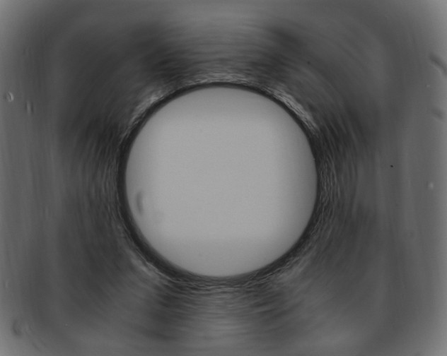 X0000094080207200710190925