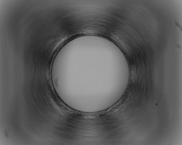 X0000094080208200710190925