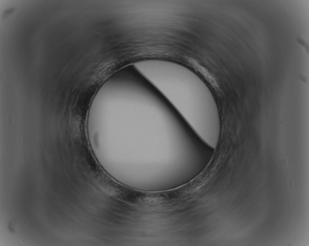 X0000094080209200710190925