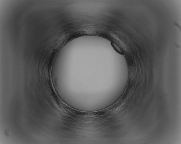 X0000094080213200710190925