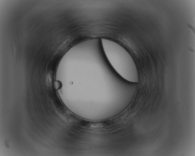 X0000094080214200710190925